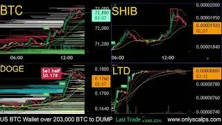 Did you sell half your DOGE at $0.178 or short BTC?