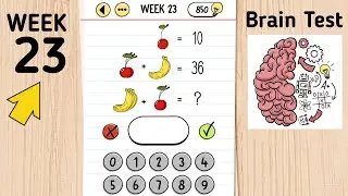 Brain Test Day 23