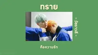 🦋 [เนื้อเพลง] ทราย - วัชราวลี 🌻