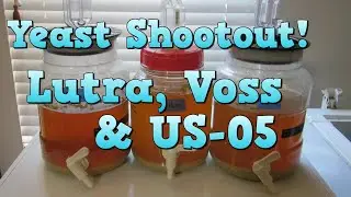 Lutra vs Voss vs US-05! (in a BRU-1 SMaSH)