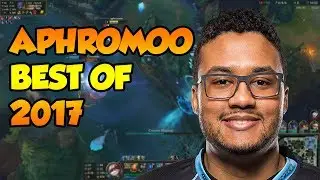 BEST SUPPORT NA - APHROMOO BEST OF 2017