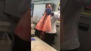 Teacher blowing up 