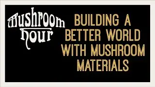 Building a Better World w/ MycoMaterials || Ashley Granter