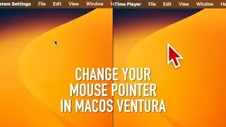 How to Change your Mouse Pointer Size and Color in MacOS Ventura