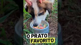 SE TUDO FOSSE AO CONTRÁRIO PT.10