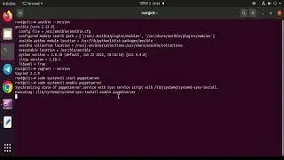 I'll Install & Configure Ansible+Vagrant+Puppet On Any Linux