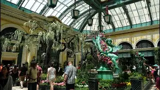 ALL 5 BELLAGIO CONSERVATORY SEASONAL DISPLAYS! (4K)