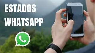 Cómo subir un estado a Whatsapp: configuración de privacidad, edición y mas