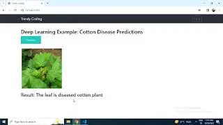 Deep Learning project : plant disease prediction.