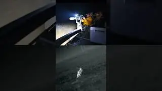 CTRL+ALT+DEL 🐗 