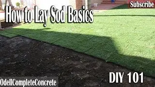 How to lay Sod 101 DIY