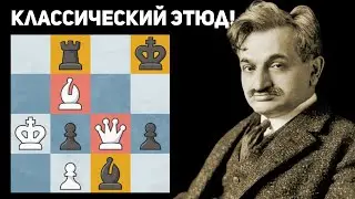 Знаменитый Этюд Эмануила Ласкера! Классика шахматной композиции.