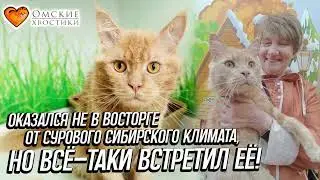 Оказался не в восторге от сурового сибирского климата, но всё-таки встретил её! | Мартис