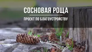 Сосновая роща Йошкар-Ола. Проект по благоустройству.