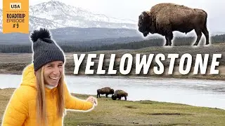 USA Reise zum YELLOWSTONE NATIONALPARK • USA Doku | VLOG 577