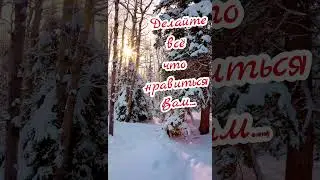 ❄️ С добрым зимним утром!