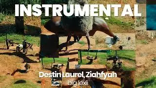 INSTRUMENTAL BEAT : big lexii - Destin Laurel, Ziahfyah