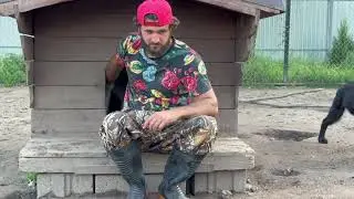 Волки спустя время не забыли человека, который заменил им родителей🐺‼️