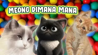 LAGU SI MEONG KUCING DIMANA-MANA