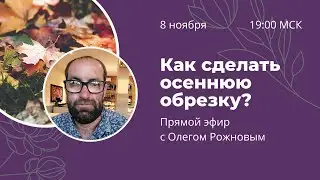 Как сделать осеннюю обрезку плодовых? Прямой эфир с Олегом Рожновым