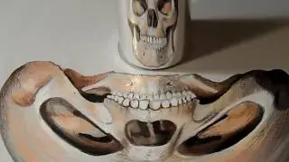 The Anamorphic Skull - Drawing 3D Trick Art on Paper