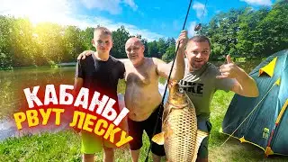 24 ЧАСА НА РЫБАЛКЕ! КАБАНЫ РВУТ ЛЕСКУ😳! Ночь в палатках!