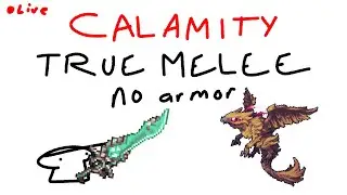 calamity true melee no armor (expert death) part 4 the hard part