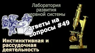 Инстинктивная и рассудочная деятельность