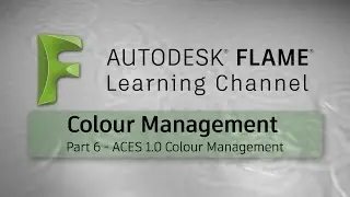 CM - Part 6 - ACES 1.0 Colour Management - Flame 2017x1