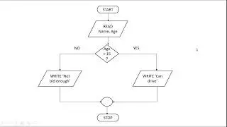 How to Create a Flowchart for Programming Part 5 - IF Decisions