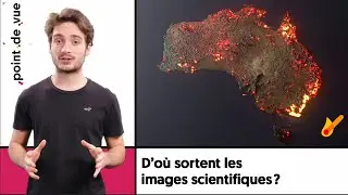 D'où sortent les images et les photographies scientifiques ? - Point de vue - Saison 2