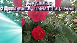 Поздравляю с днем семьи, любви и верности.