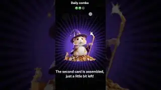 29 AUGUST HAMSTER KOMBAT DAILY COMBO CARDS TODAY