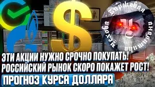 ЭТИ АКЦИИ НУЖНО СРОЧНО ПОКУПАТЬ! РОССИЙСКИЙ РЫНОК СКОРО ПОКАЖЕТ СИЛЬНЫЙ РОСТ? ПРОГНОЗ КУРСА ДОЛЛАРА!