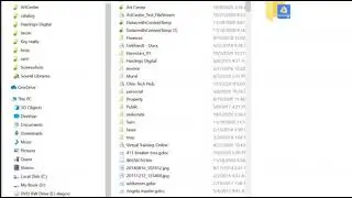 Live File Stream Folder