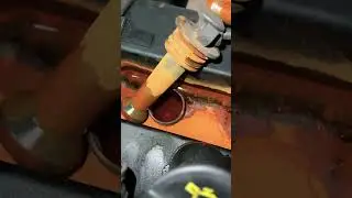 OMG spark plugs are swimming 😂 #shorts Ford Fiesta