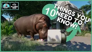 Planet Zoo: 10 Things I Wish I Knew Sooner