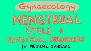 Gynaecology - Menstrual Cycle + Menstrual Disorders For Medical Students