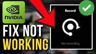 How to Fix GeForce Not Recording Game Audio