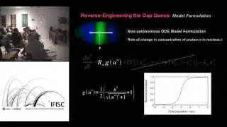 A damped oscillator governs posterior gap gene patterning in Drosophila melanogaster