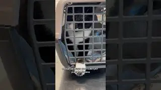 ПОНИМАЕТ ЛИ БАРИК ЧТО ОР БОЛЕЕТ? 