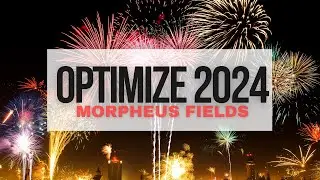 optimize 2024 (morphic field)