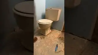 Removing a Toilet: A Step-by-Step Guide