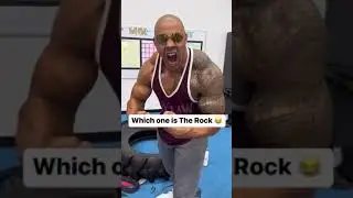 Which one is the Rock ? #shorts