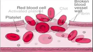 How Blood Clots Form - Blood Clotting Mechanism Animation - Blood Clot Formation Process Video