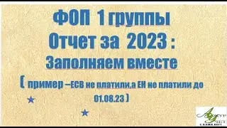 ОТЧЕТ ФЛП 1 группы на едином налоге за 2023 | Заполняем вместе, шаг за шагом