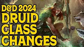 Druid Class Changes in D&D 2024