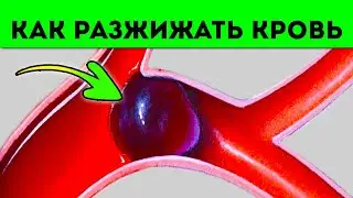 Запомни это! Продукты для разжижения крови