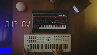 Jup-8 V - V Collection | ARTURIA