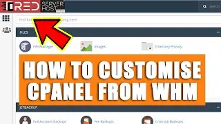 [🔴LIVE] How to customize cPanel under your WHM?